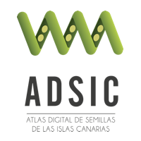 Logo proyecto